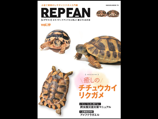 REP FAN レプファン Vol.19 癒しのチチュウカイリクガメ