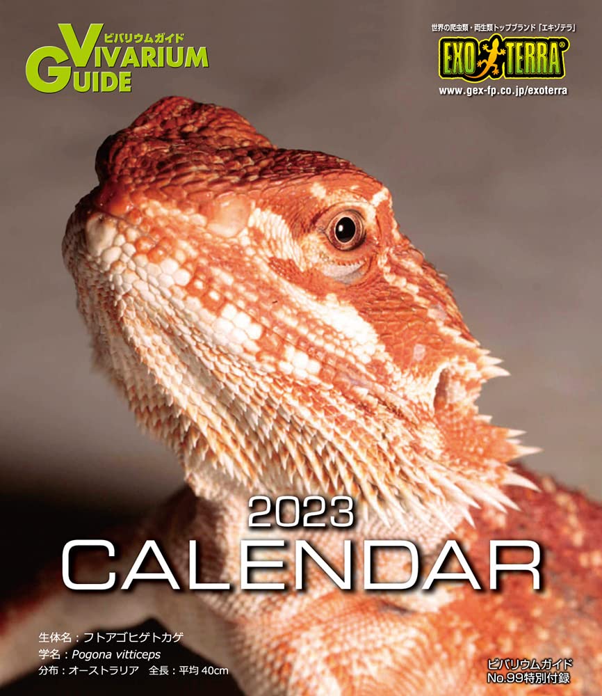 ビバリウムガイドNo.99 2022年冬号 爬虫類今昔物語 ～変わるもの