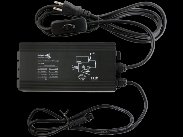 ソラリウムUV50Wセット ゼンスイ 爬虫類用メタハラ 販売 通販