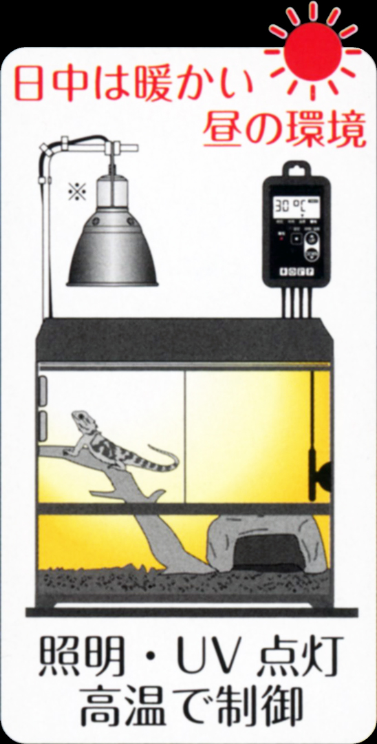 タイマー サーモ RTT-1【送料無料】GEX サーモスタット 販売 通販