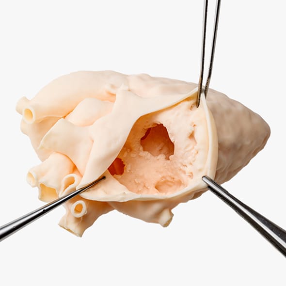 MedipreX®軟質実物大3D心臓モデル｜術前シミュレーター｜株式会社