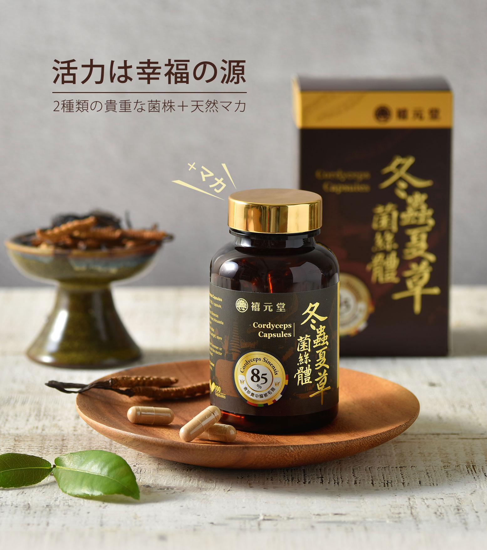 冬虫夏草 - 台湾禧元堂( きげんどう)ツバメの巣