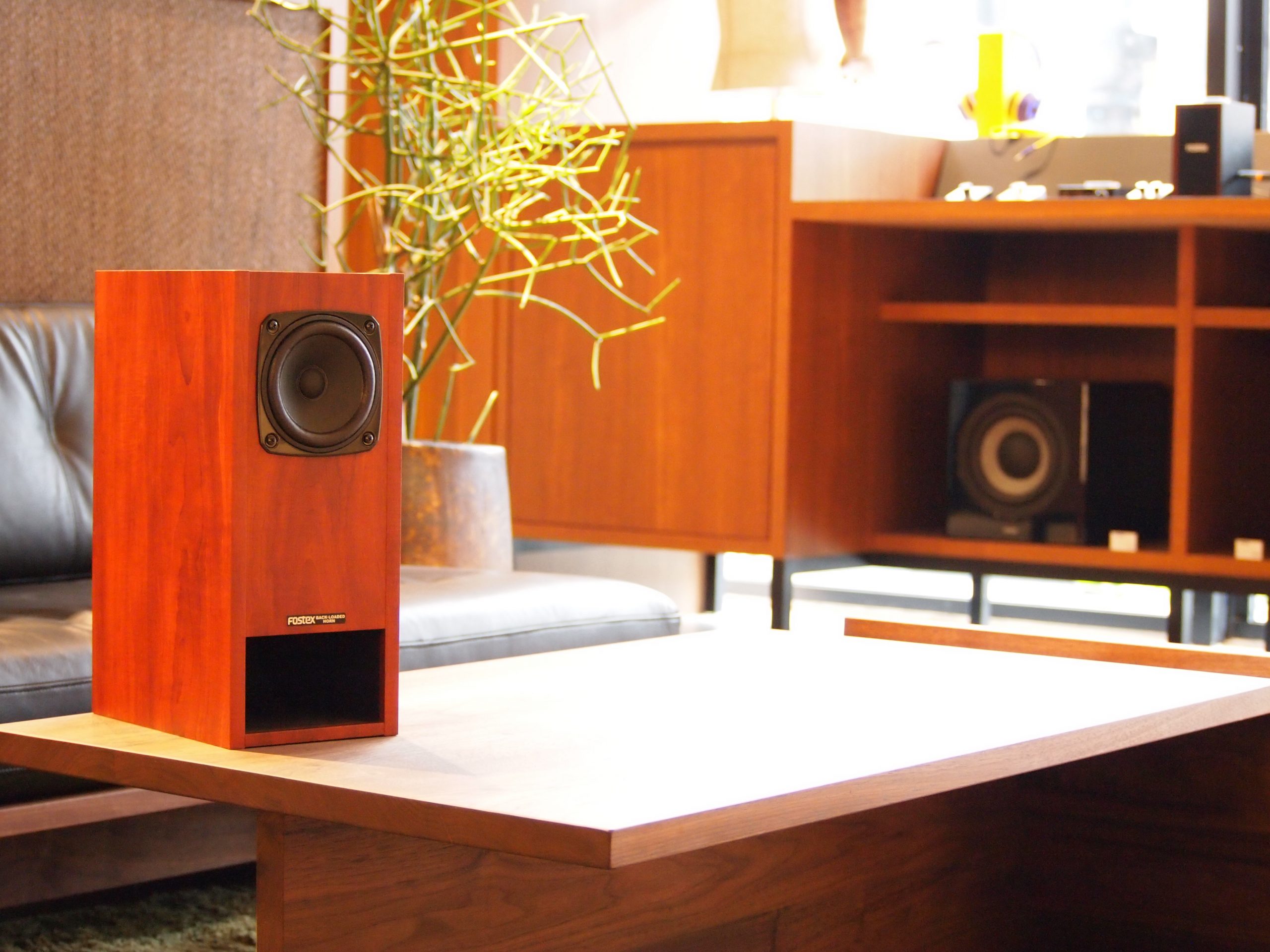 Fostex P1000-BH を最大限活かすには – Xperience Speaker Factory