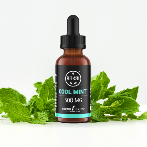 CBD コレクション｜前回ご好評いただいたCBDコレクションがこの冬再