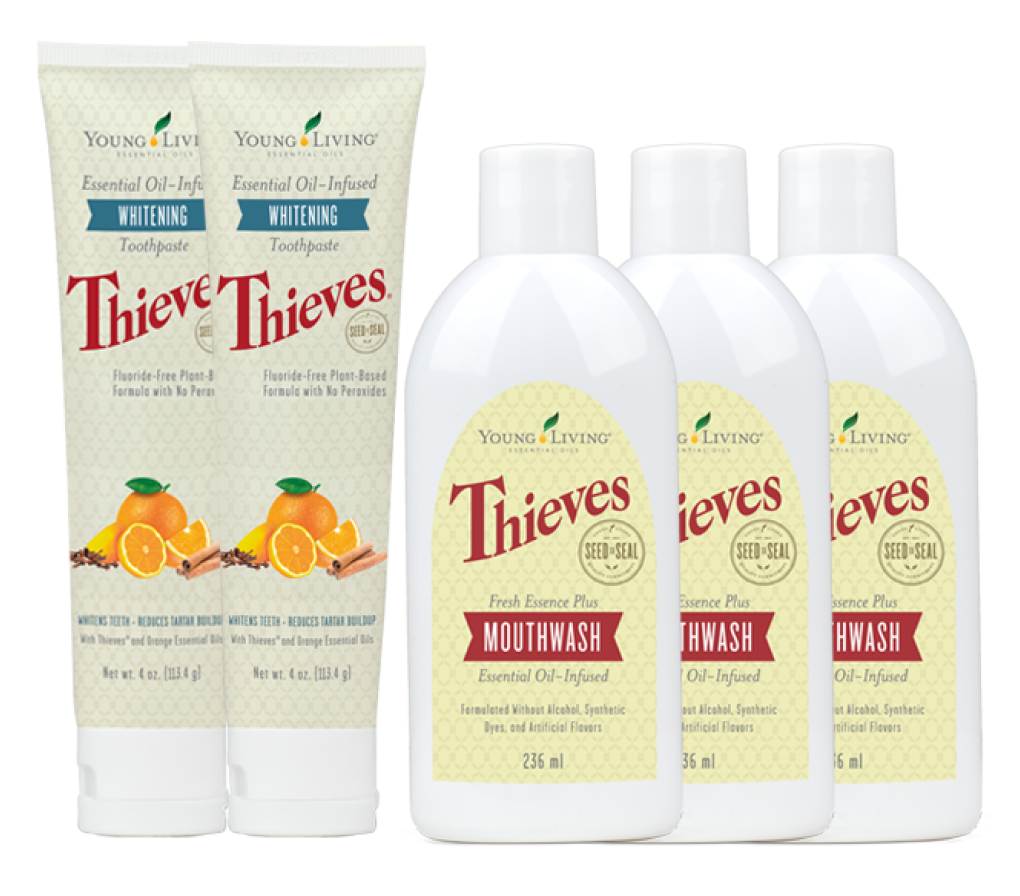 YLおトク便パック｜新たに3つのセットが仲間入りします！ - ヤング