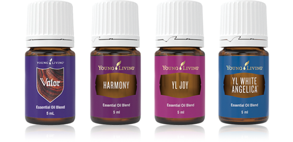 YLベーシックキット ブレンド｜ 11月1日（金）よりリニューアル販売の