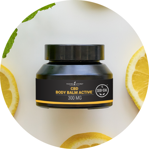 CBD コレクション｜前回ご好評いただいたCBDコレクションがこの冬再