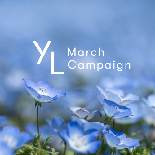 新製品、限定販売製品、キャンペーン製品を一覧でご紹介しています