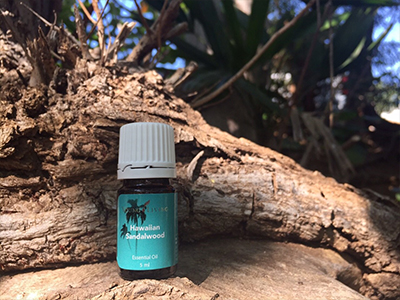 ハワイアンサンダルウッド」の神秘☆ _蒸留 - ヤング・リビング 公式ブログ