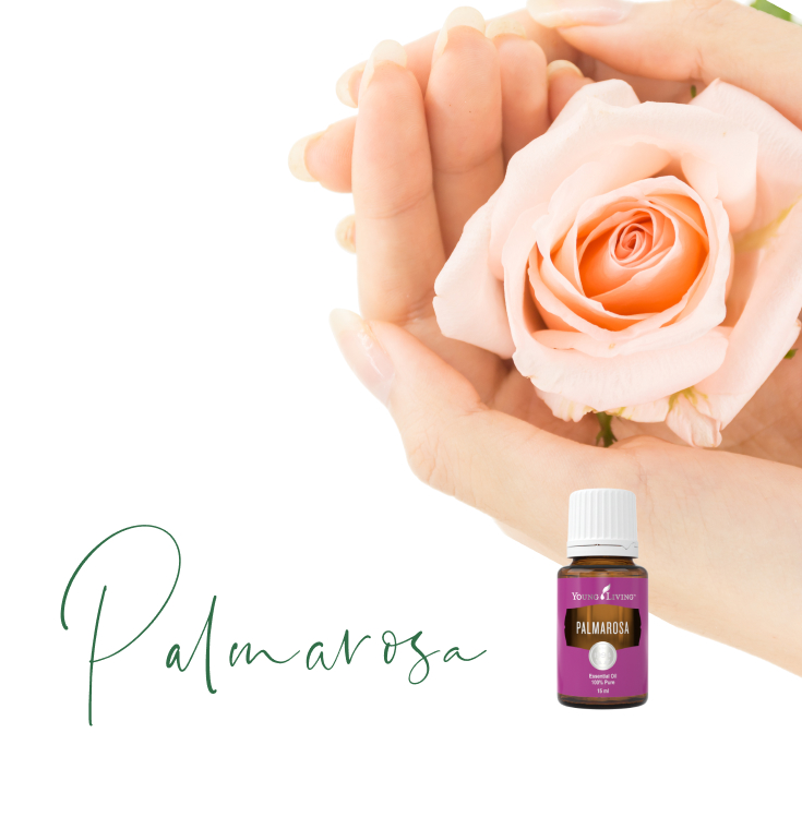 エッセンシャルオイル パルマローザ 15mL（日本未発売品） - ヤング