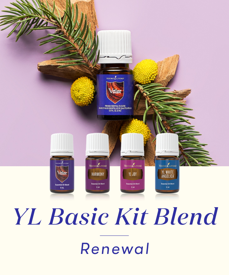 YLベーシックキット ブレンド｜ 11月1日（金）よりリニューアル販売の