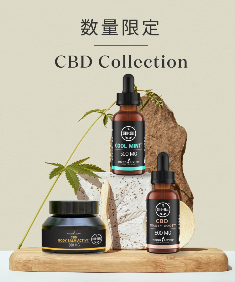 CBD コレクション｜前回ご好評いただいたCBDコレクションがこの冬再