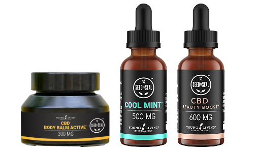 CBD コレクション｜前回ご好評いただいたCBDコレクションがこの冬再