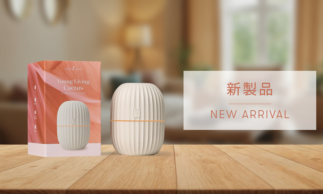 新製品｜「カクタスディフューザー」がついに単品で販売開始