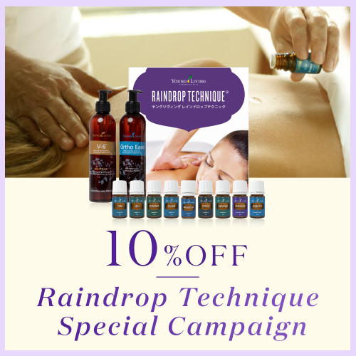 新製品、限定販売製品、キャンペーン製品を一覧でご紹介しています