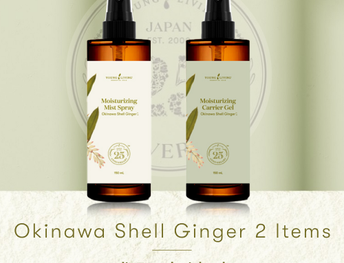 YLラウンドディフューザーで素敵な香りの空間を♪ - ヤング・リビング