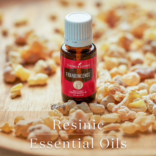 レジンの香りのエッセンシャルオイル - ヤング・リビング 公式ブログ
