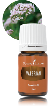 就寝前におすすめのエッセンシャルオイル - ヤング・リビング 公式ブログ