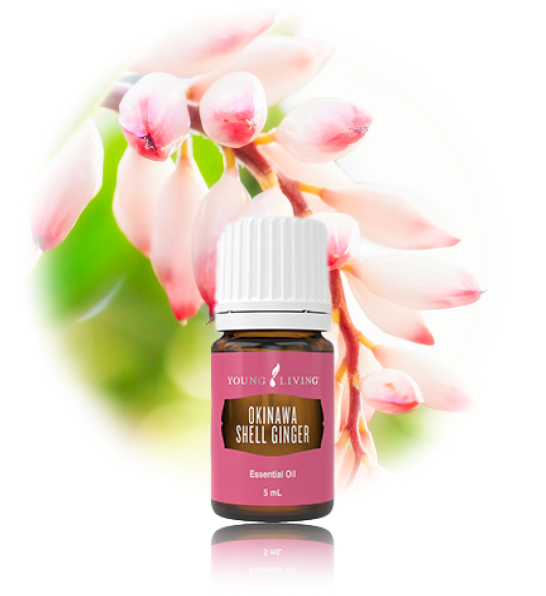 再販スタート｜沖縄 月桃（タイリン）エッセンシャルオイル - ヤング