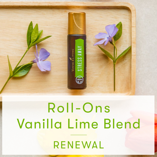 新製品、限定販売製品、キャンペーン製品を一覧でご紹介しています