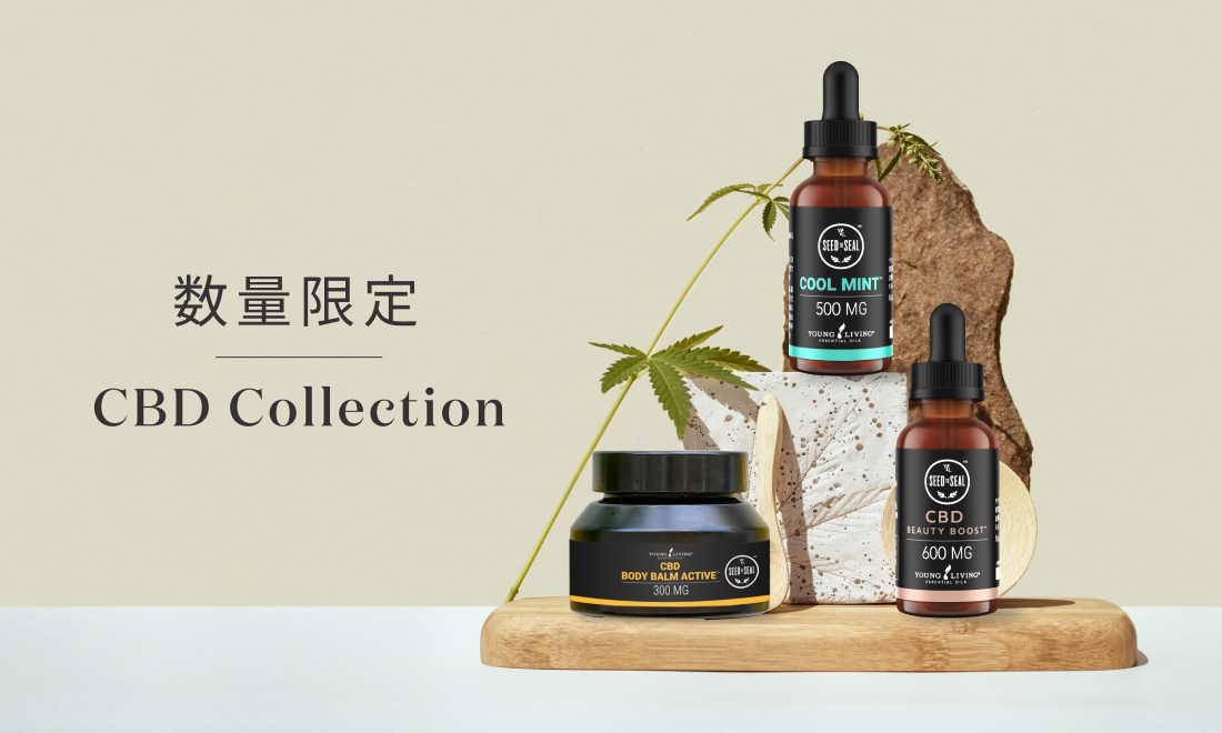 CBD コレクション｜前回ご好評いただいたCBDコレクションがこの冬再