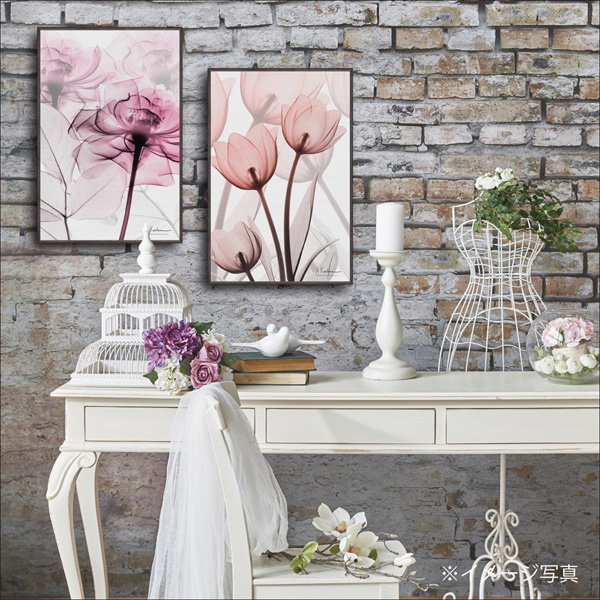 XRAYキャンバスアート「ピンクローズ(Sサイズ)」 | ユーパワー