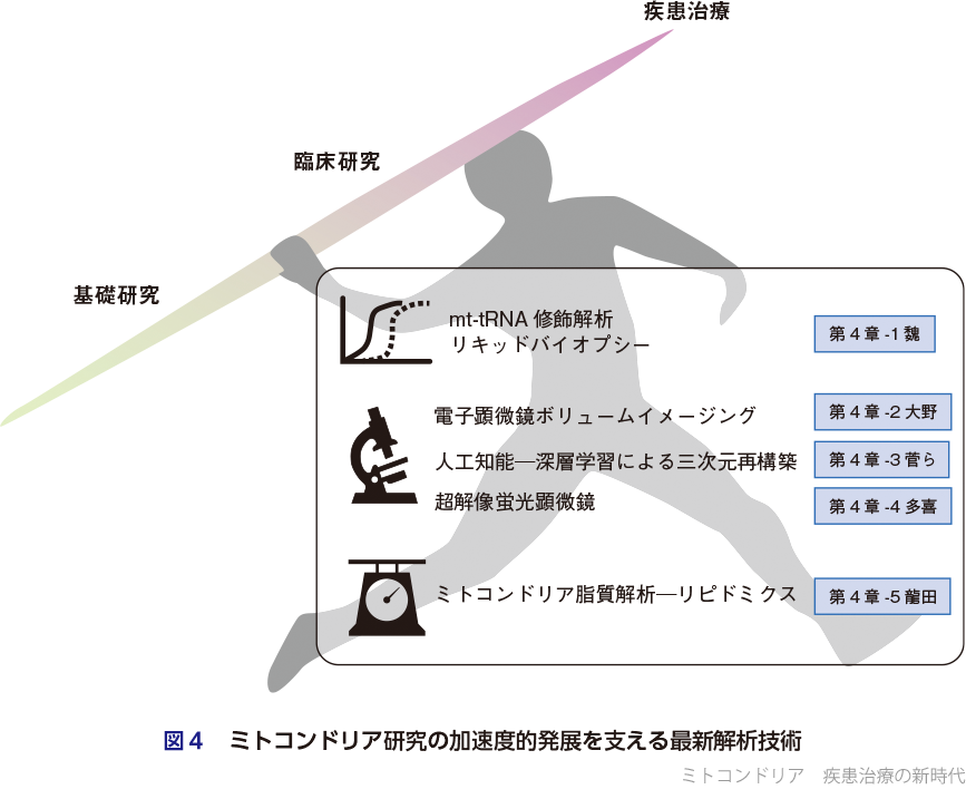 実験医学増刊：ミトコンドリア 疾患治療の新時代〜オルガネラ動態を