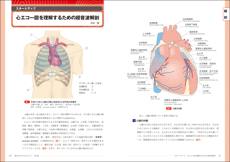 基本をおさえる心エコー 改訂版〜撮りかた、診かた、考えかた - 羊土社