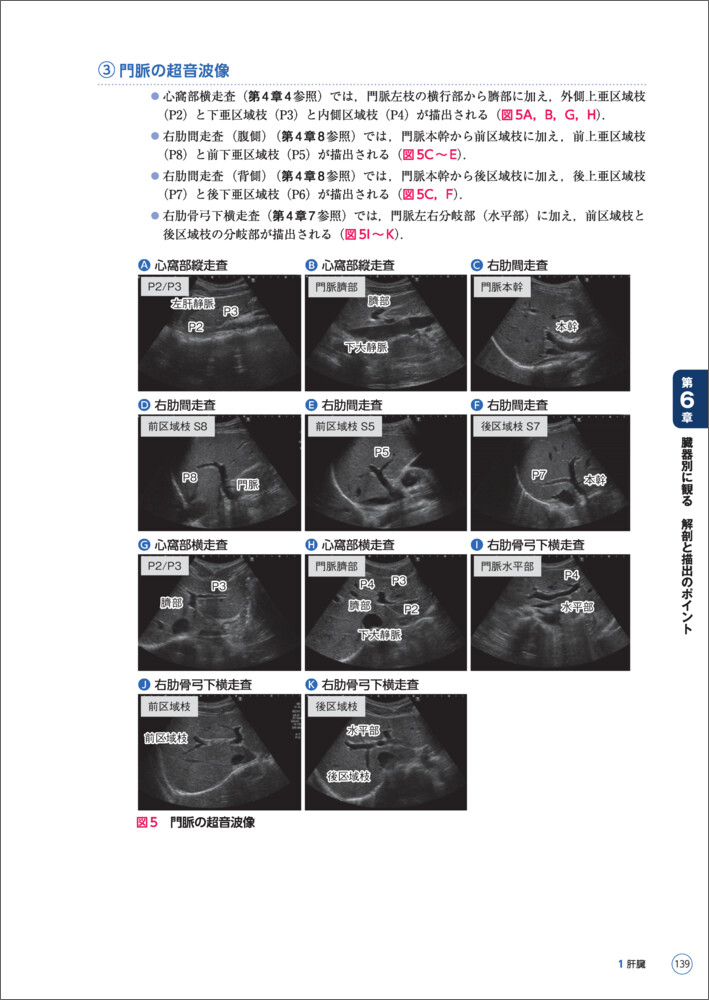 3DCTで解剖から学ぶ腹部エコーの基本とコツ〜血管を指標にした走査法と