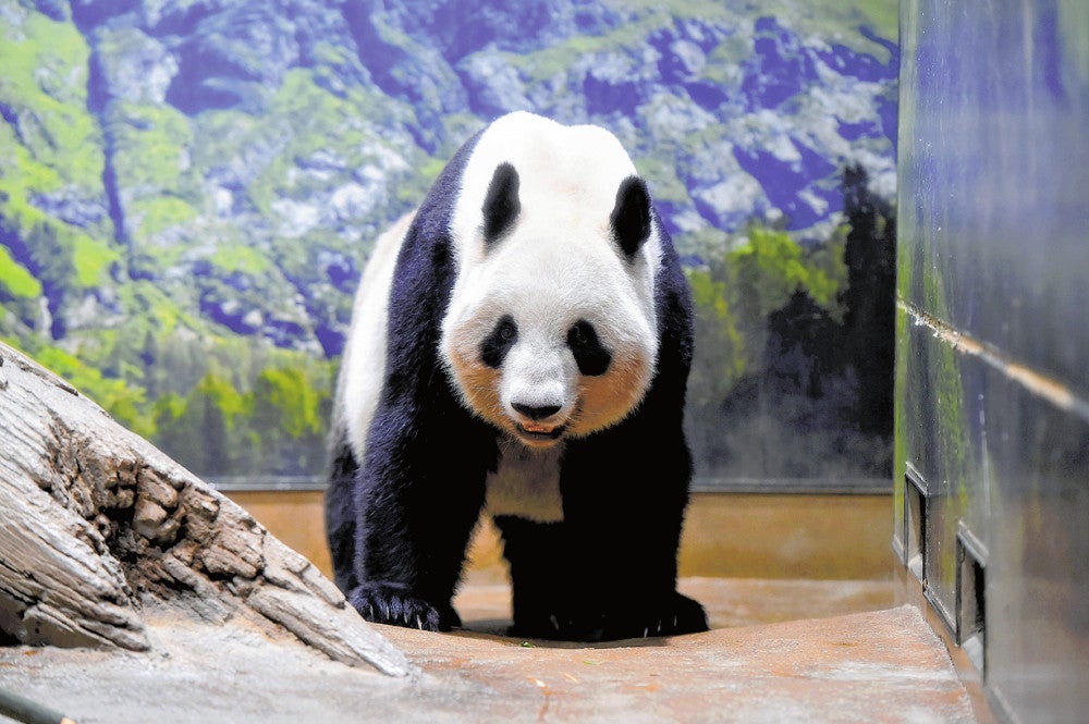 20240926-OYT1I50171-1.jpg?type=ogp