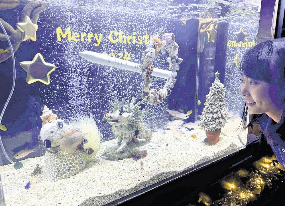 星いっぱいのクリスマス水槽、「ホシ」の名が付く魚や星形のヒトデなど