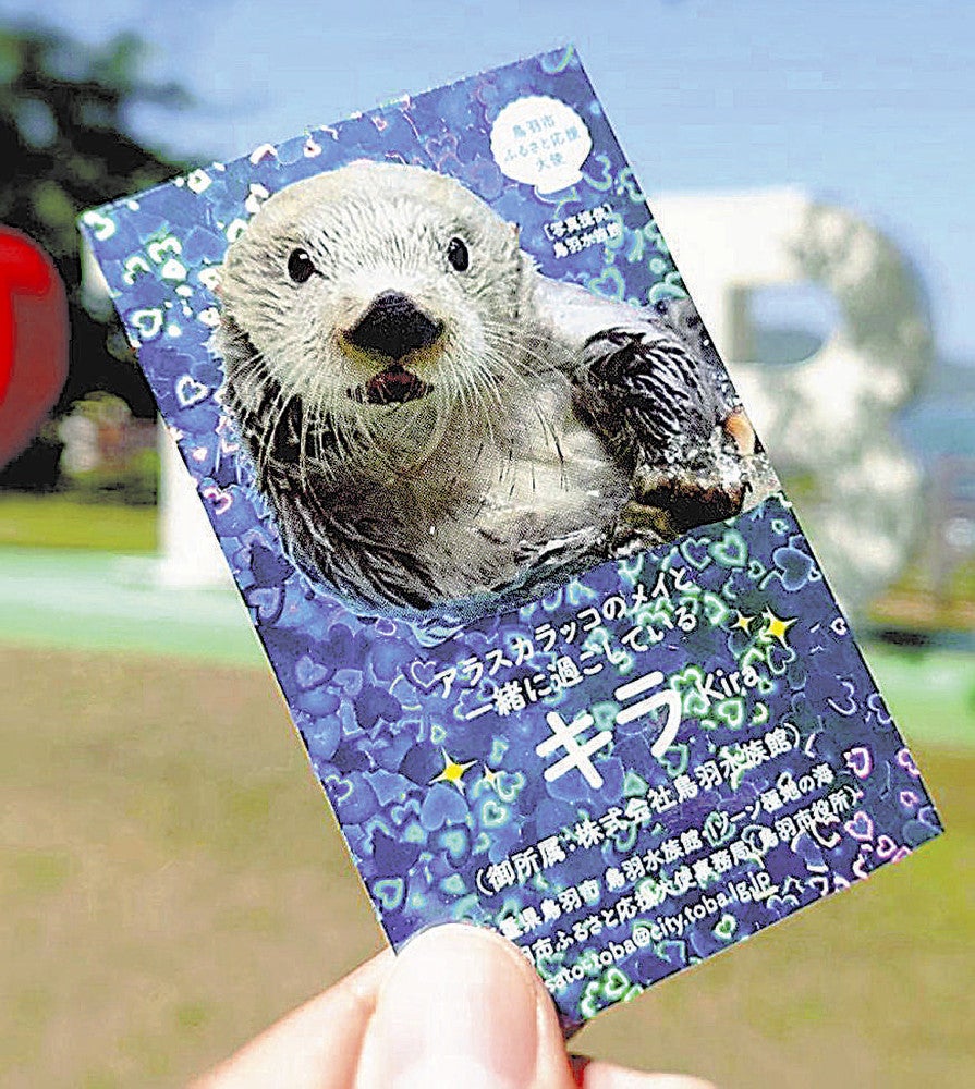 鳥羽水族館 コレクションカード メイ 鳥羽水族館 コレクションカード