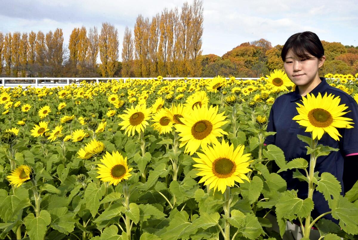 20251207-GYT1I00105-1.jpg?type=ogp