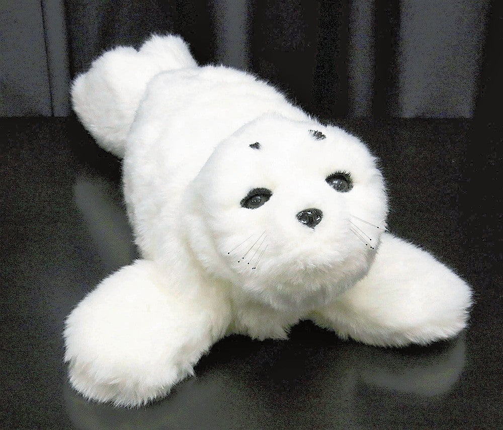 アザラシ型ロボ「パロ」を心の癒やしに、ポーランドのウクライナ避難民