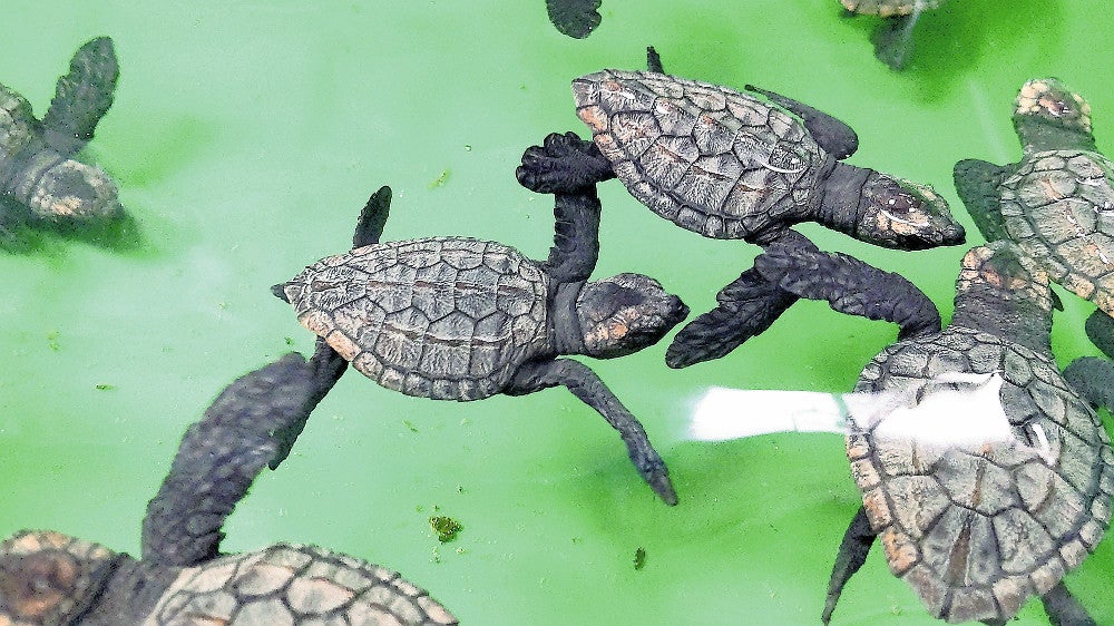 20220818-OYT1I50196-1.jpg?type