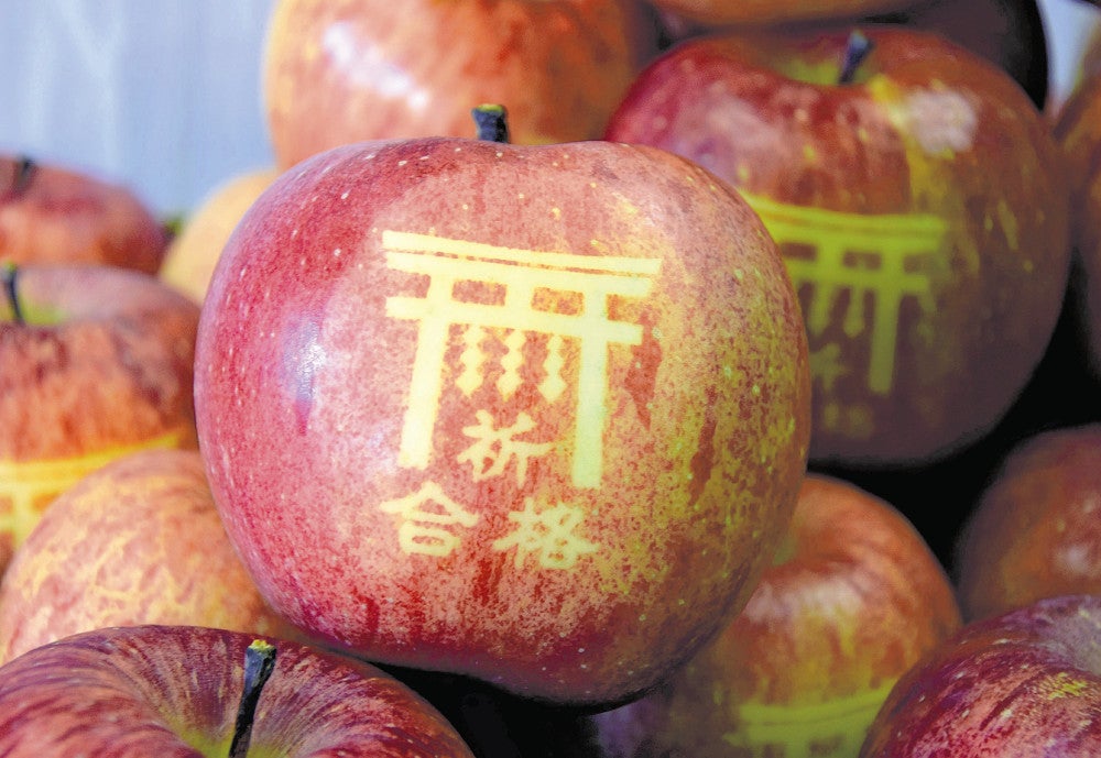 落ちないリンゴ」で合格祈願…東北直撃の台風で落ちなかったリンゴで