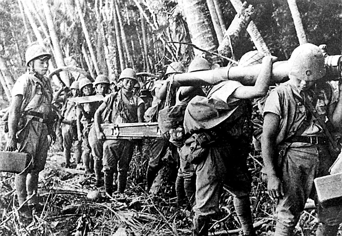 ガダルカナル島の戦い 餓島と化した理由と日本の敗因 : 読売新聞