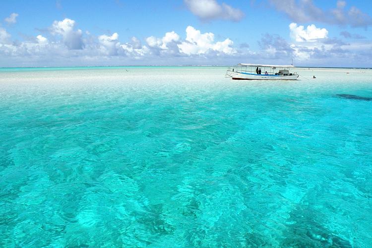 百合ヶ浜（ゆりがはま）の情報、行き方・出現カレンダー | 【公式