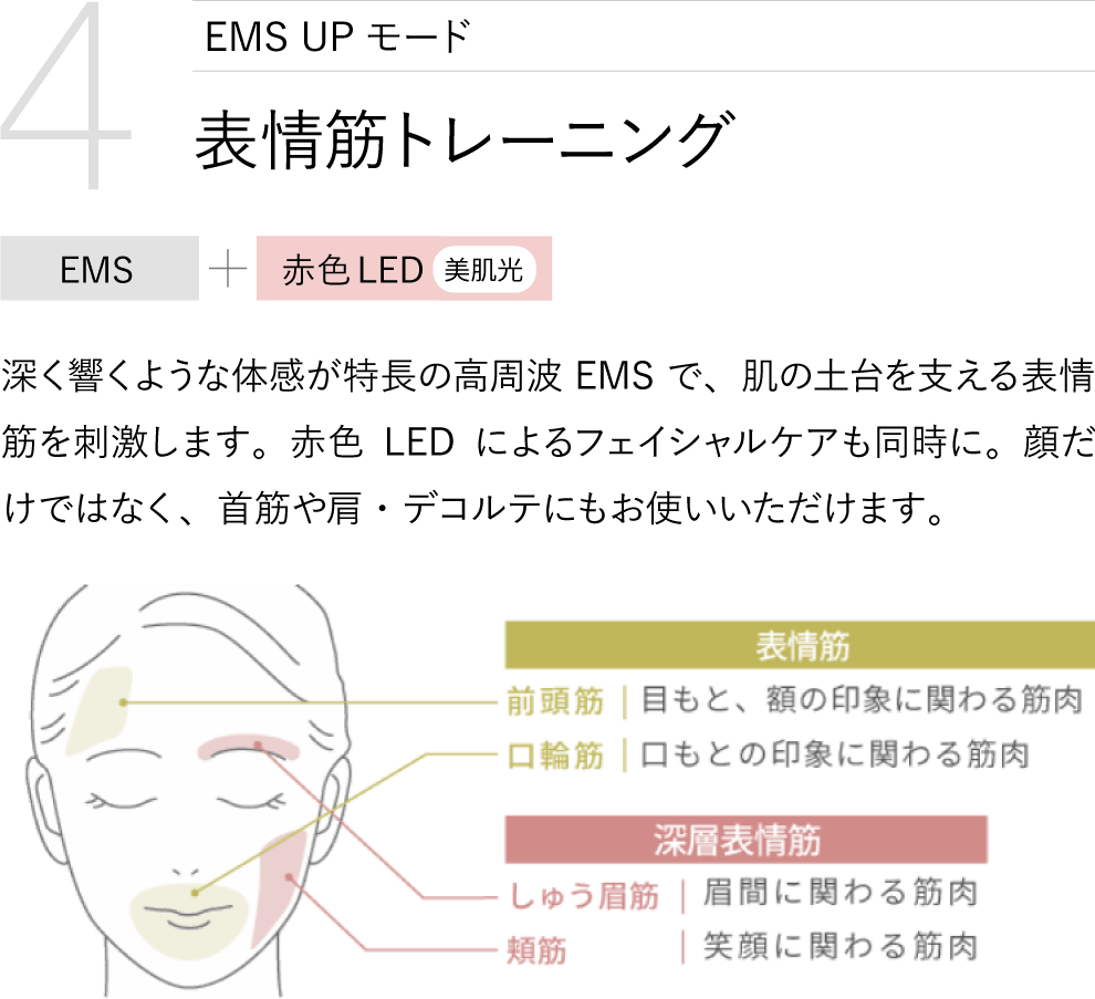 フォトプラス プレステージ S | YA-MAN TOKYO JAPAN | ヤーマン株式会社
