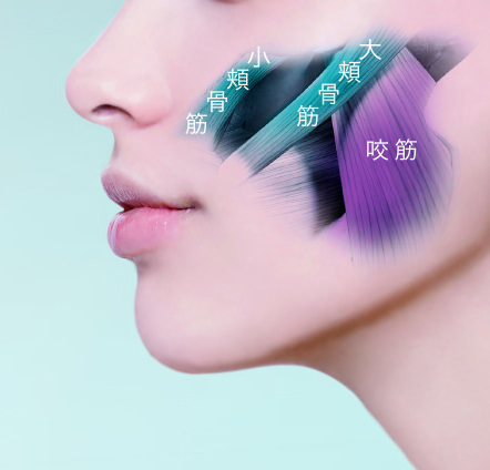 メディリフト プラス ゲルセット』新発売 | ヤーマン株式会社