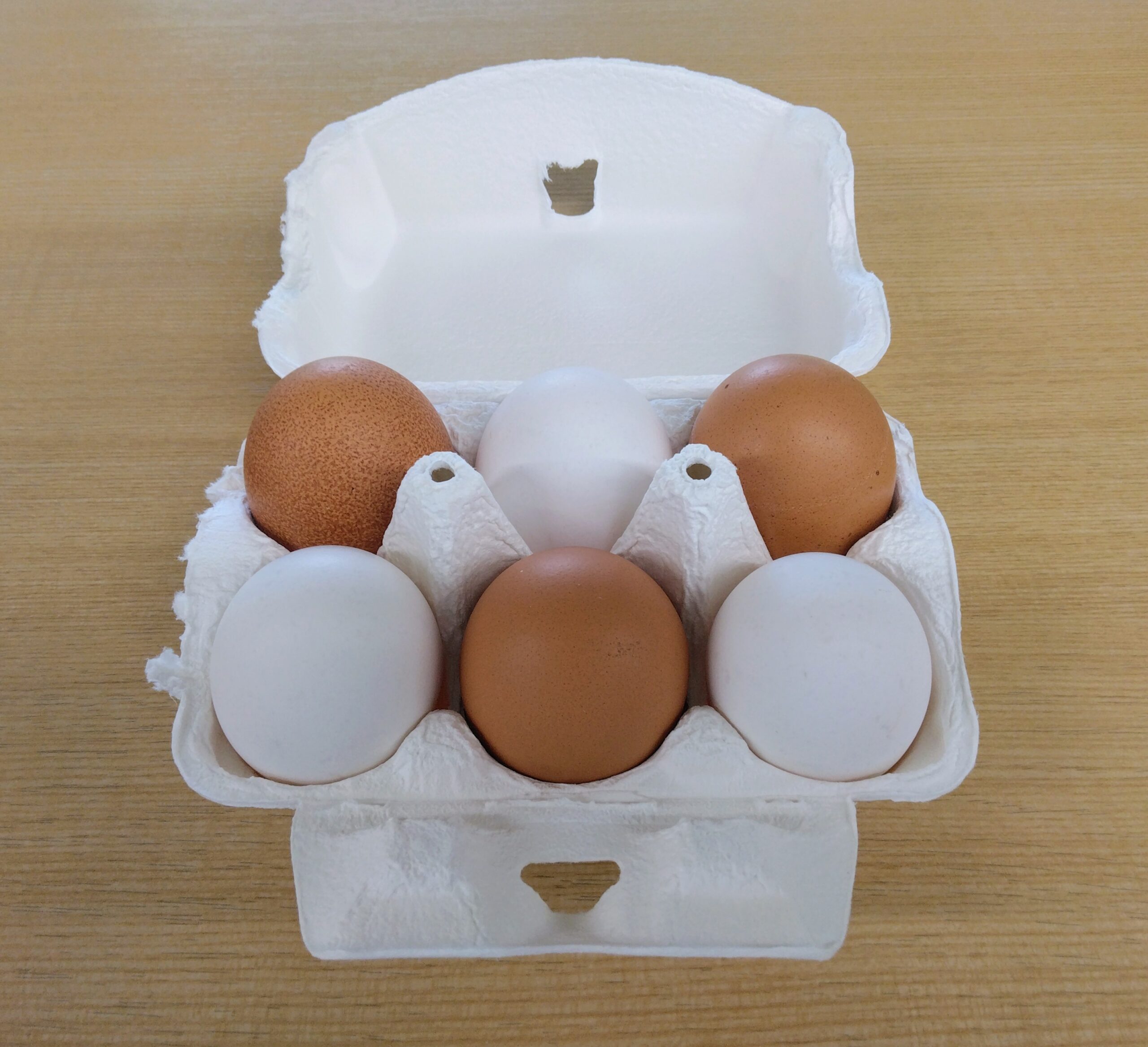 鮮やかな黄身はエサによる影響！たまごの殻の色と卵黄色の違いって