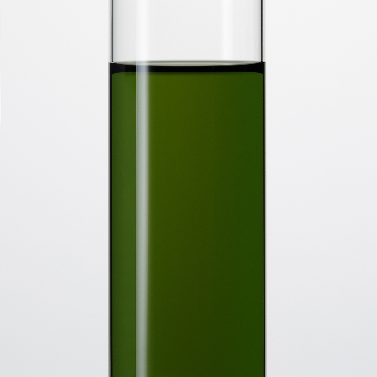 スーパーグリーンZO2 | ヤヱガキ醗酵技研株式会社