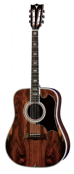 YW-800G｜製品紹介｜Yairi Guitar ヤイリギター