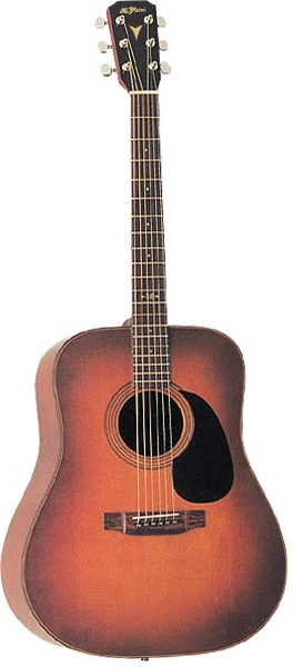 REGULAR AY-45｜製品紹介｜Yairi Guitar ヤイリギター