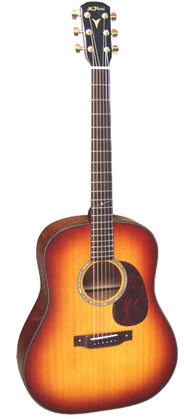 REGULAR AY-65｜製品紹介｜Yairi Guitar ヤイリギター