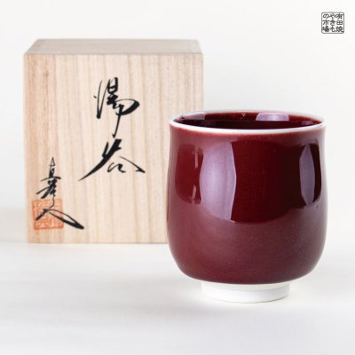 70726f647563742f3134363035322e