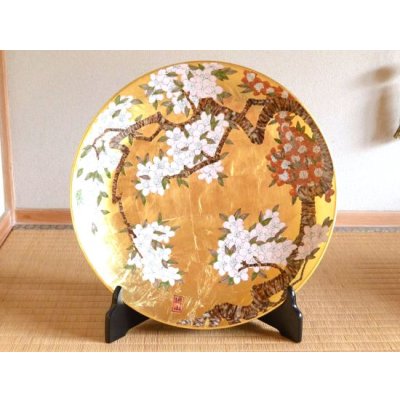 70726f647563742f3233383030322e