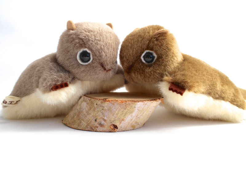 やまね工房 Cotton（コットン）| ぬいぐるみ作家 落合けいこ