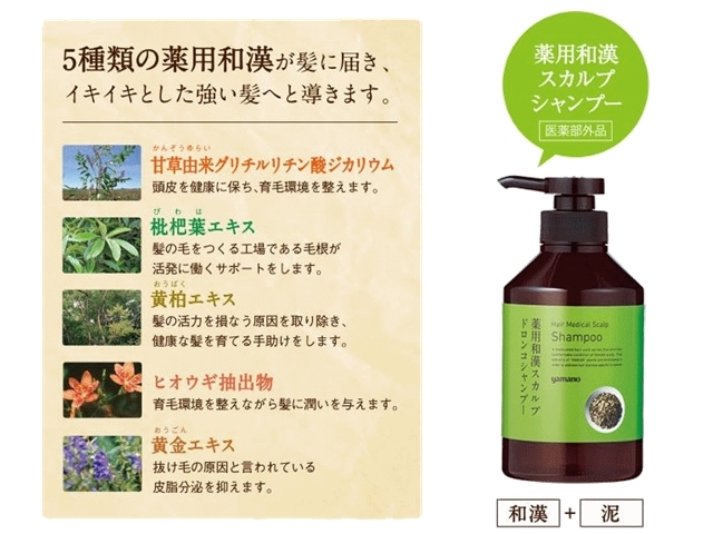 薬用和漢スカルプ ドロンコシャンプー 400ml 山野愛子 ヤマノ肌 山野