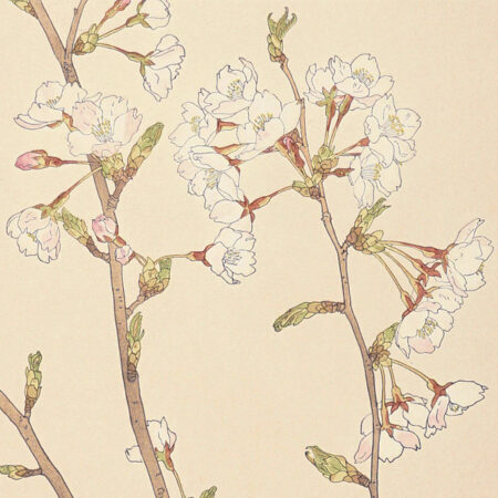 浮世絵聚花 全18冊（全16巻＋補巻2巻）” | Yamada Shoten | Tokyo, Japan